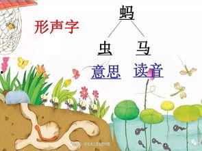 儿歌成人教学视频大全集,寓教于乐，陪伴孩子快乐成长